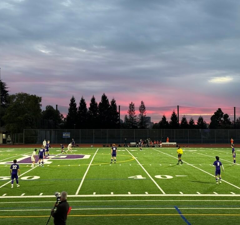 Soccer Field image 3