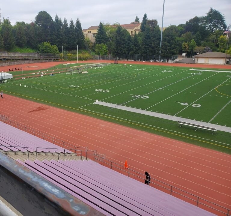 Soccer Field image 2