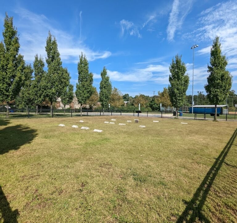 Soccer Field image 2