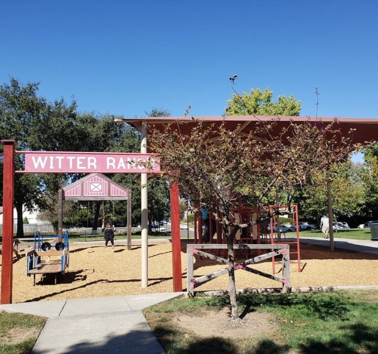 Soccer Field image 2