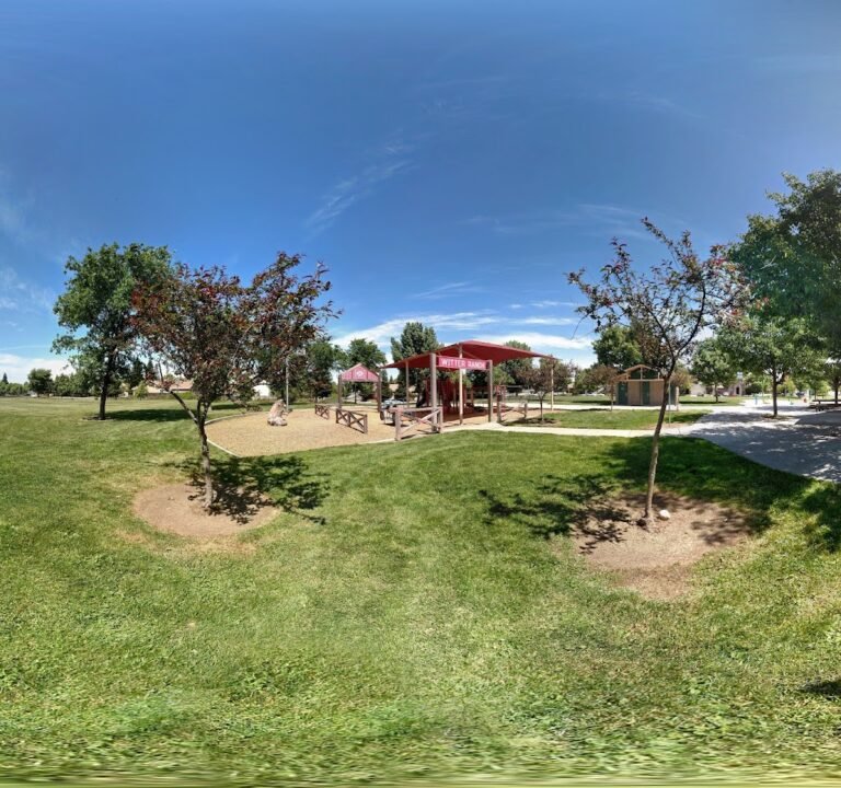 Soccer Field image 3