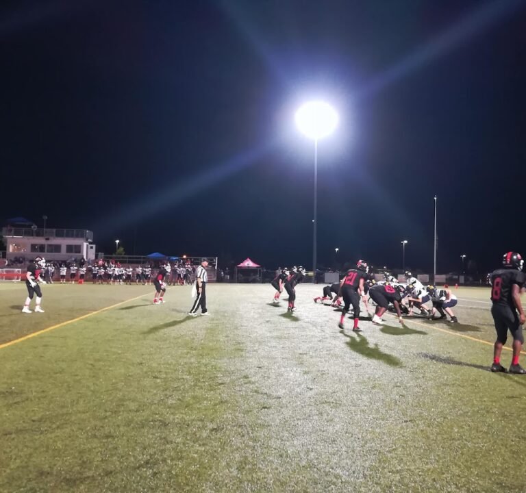 Soccer Field image 2