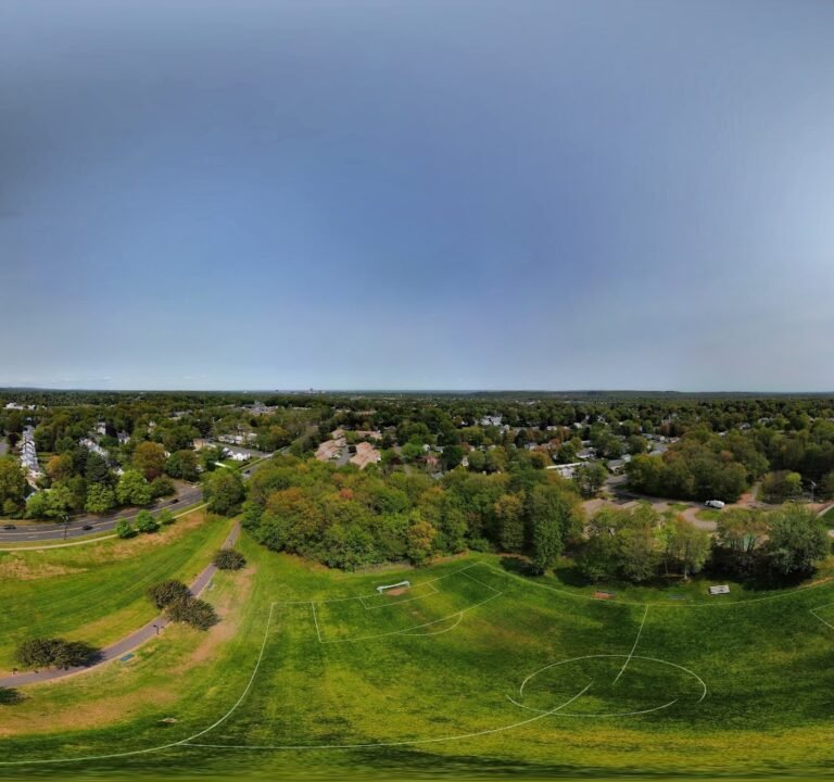Soccer Field image 3
