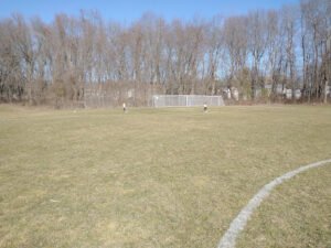 Soccer Field image 1