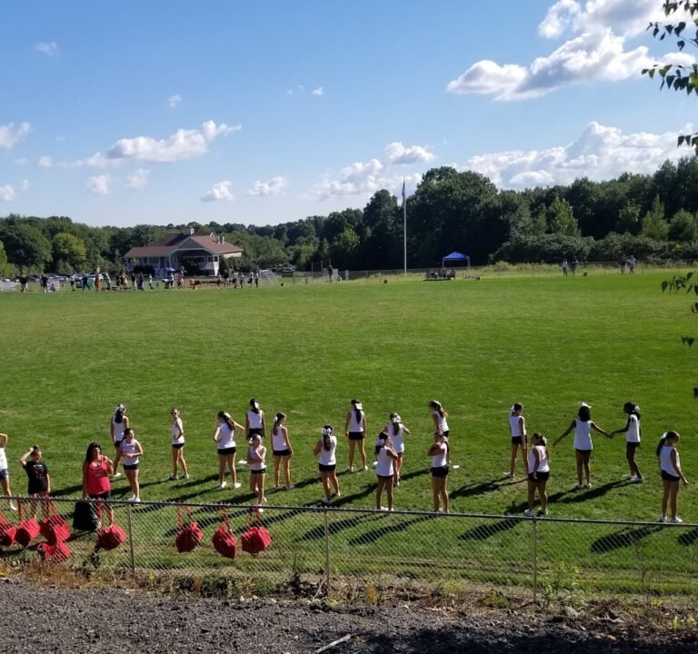 Soccer Field image 2