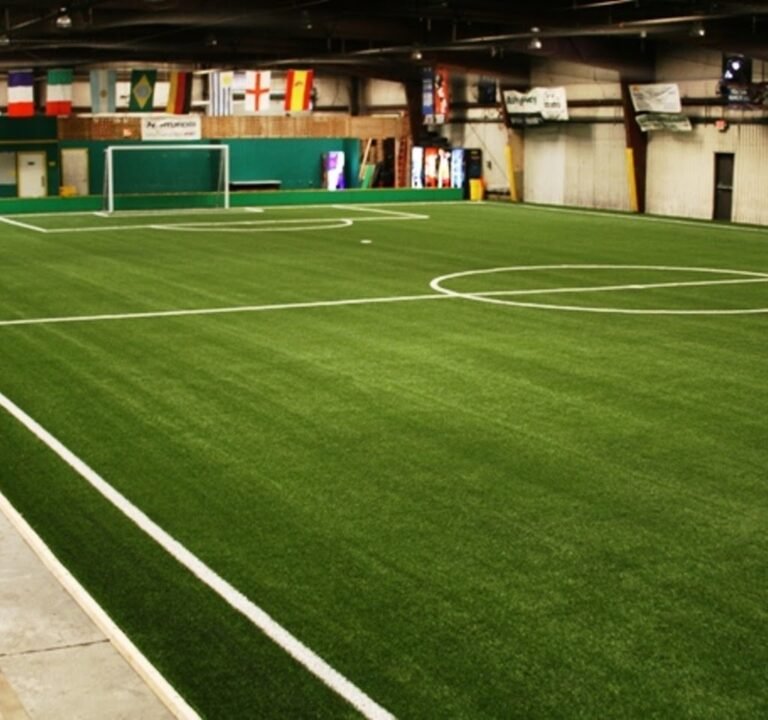 Soccer Field image 2