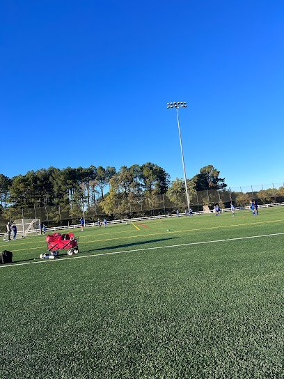 Soccer Field image 1