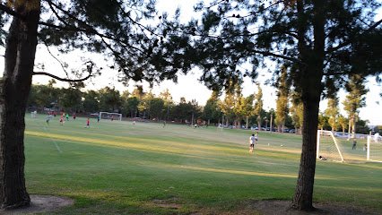Soccer Field image 1