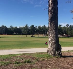 Soccer Field image 4
