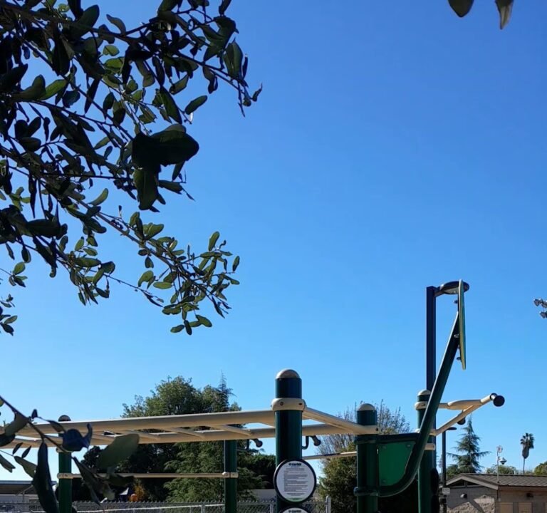 Soccer Field image 4