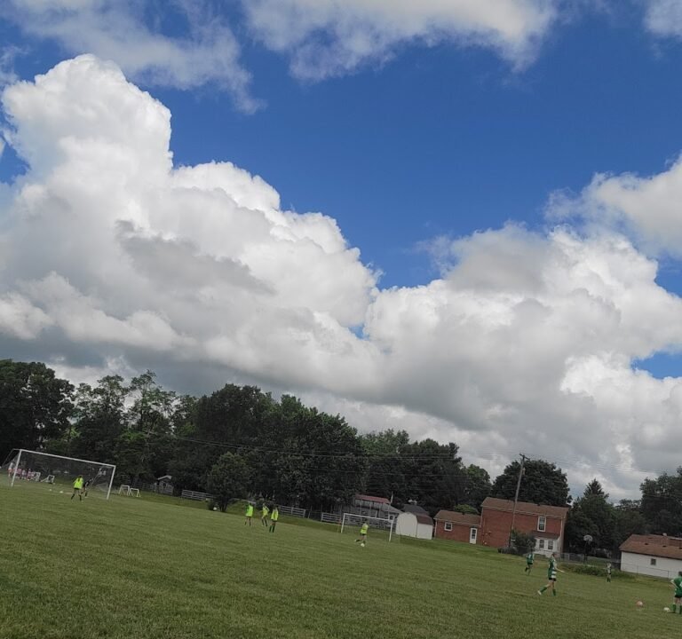 Soccer Field image 2