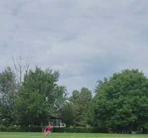Soccer Field image 4