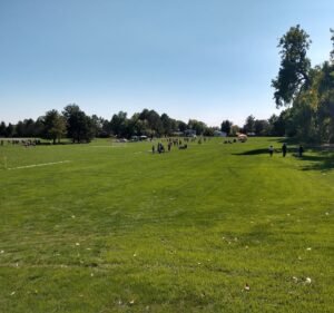 Soccer Field image 2