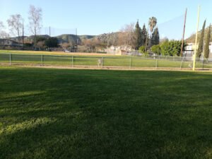 Soccer Field image 1