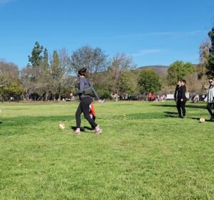 Soccer Field image 3