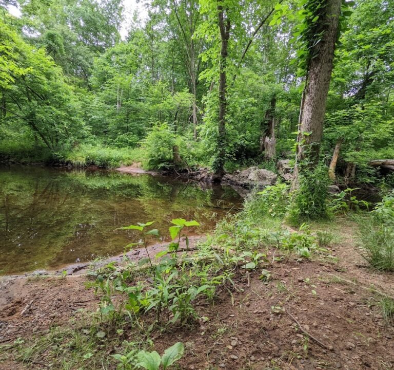 Soccer Field image 2