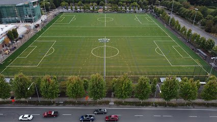Soccer Field image 1