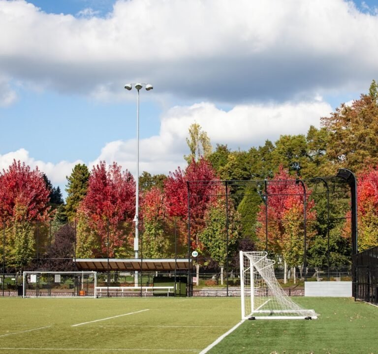 Soccer Field image 2