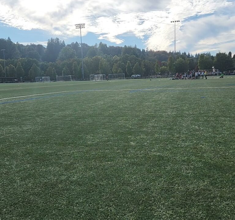 Soccer Field image 4