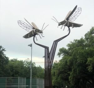 Soccer Field image 2