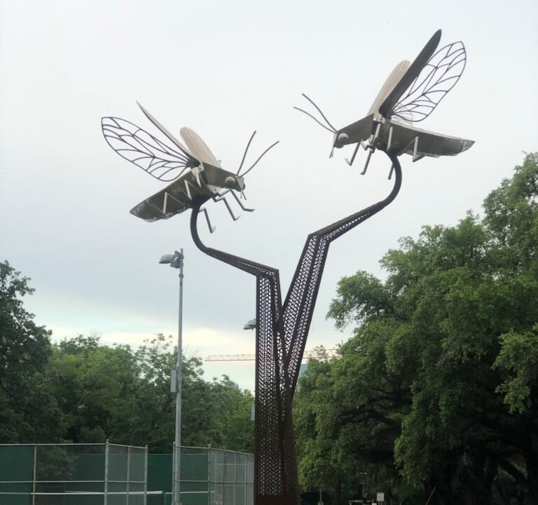 Soccer Field image 2