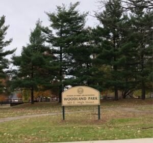 Soccer Field image 2