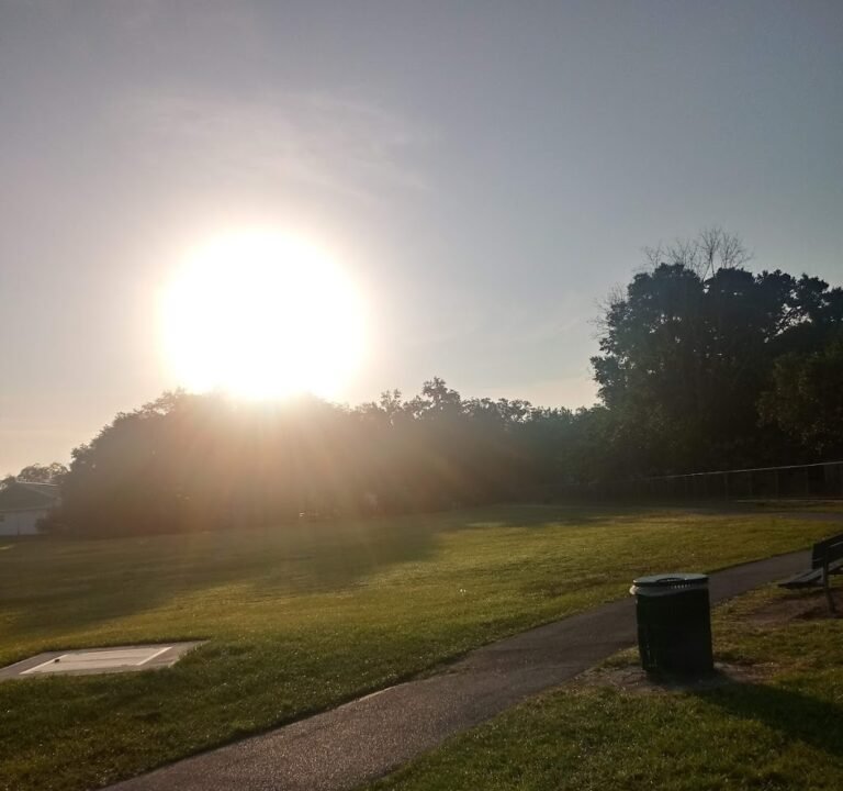 Soccer Field image 3