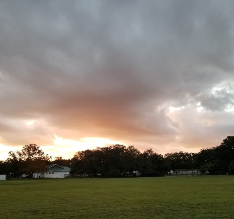 Soccer Field image 2