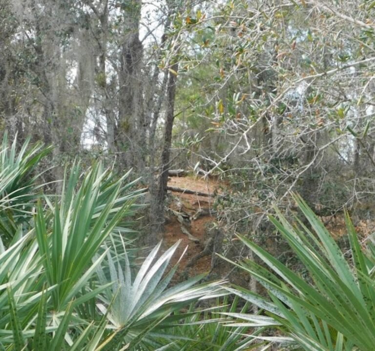 Soccer Field image 3