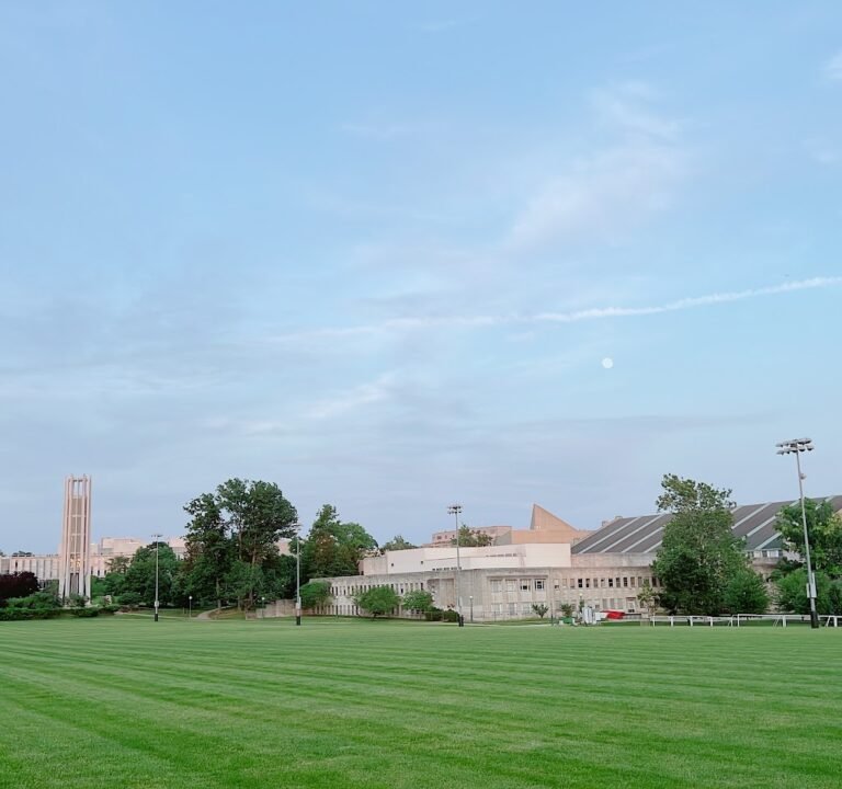 Soccer Field image 2