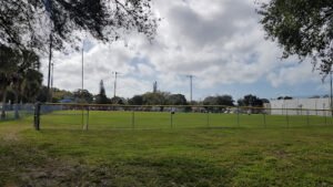 Soccer Field image 1