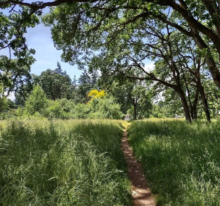 Soccer Field image 2