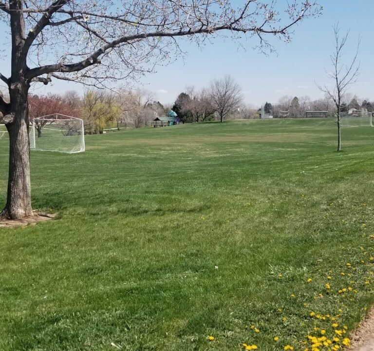 Soccer Field image 2