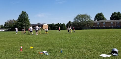 Soccer Field image 1
