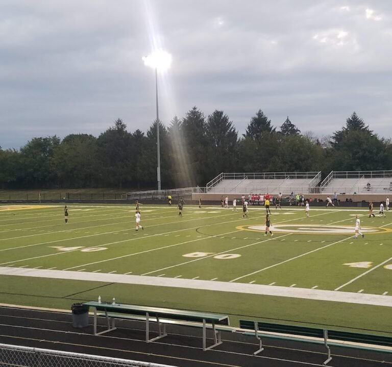 Soccer Field image 2