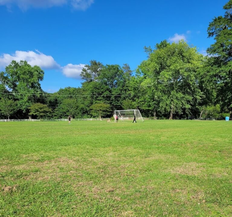 Soccer Field image 2