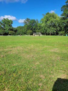 Soccer Field image 1