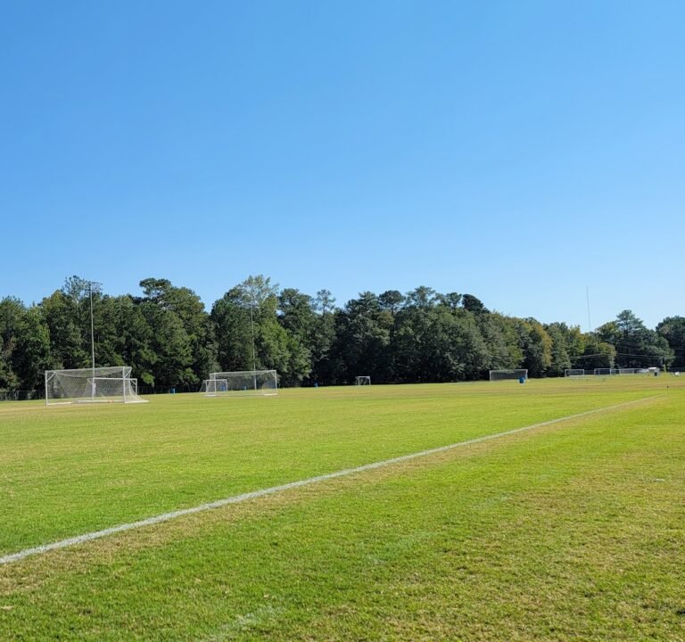 Soccer Field image 3