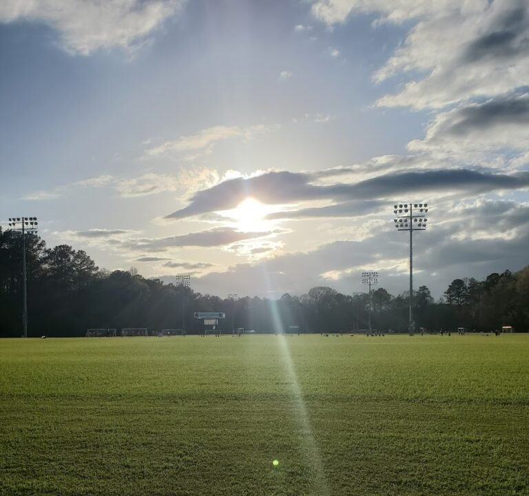 Soccer Field image 2