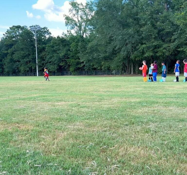 Soccer Field image 4