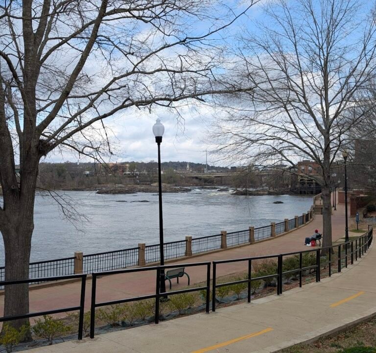 Soccer Field image 3