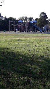 Soccer Field image 1