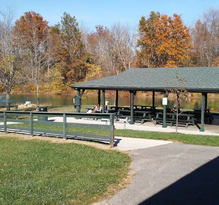 Soccer Field image 2