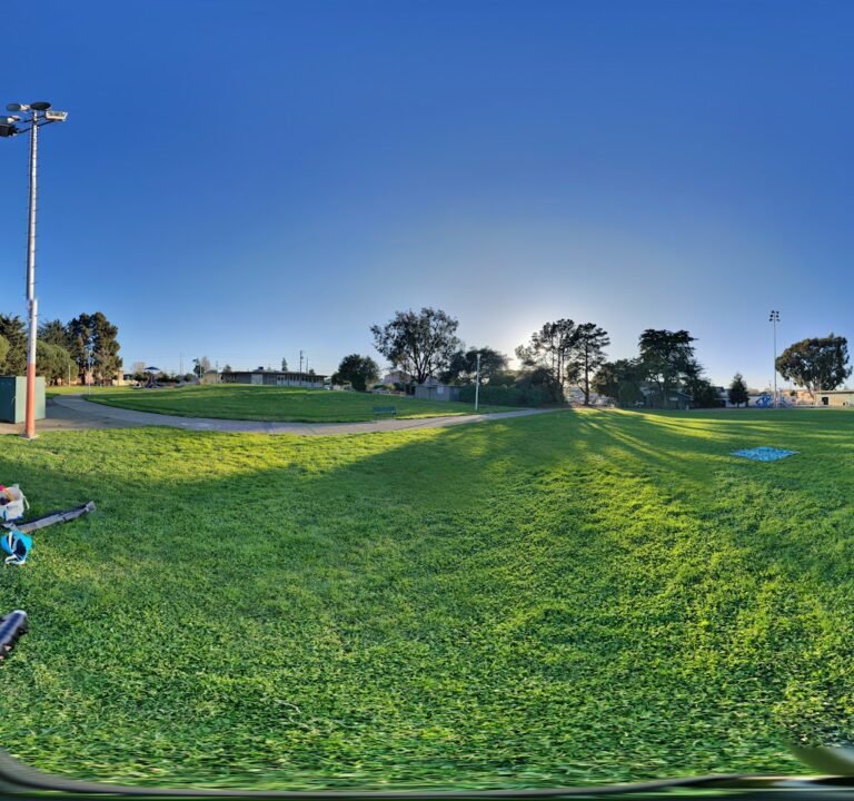 Soccer Field image 3