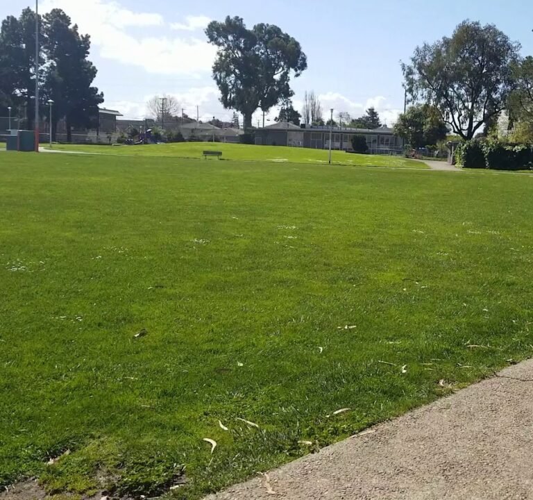 Soccer Field image 4