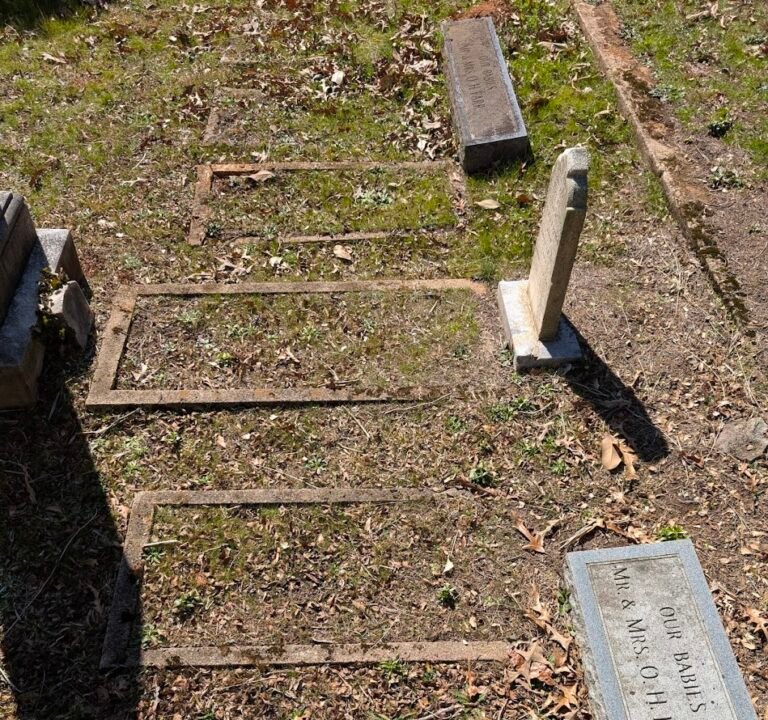 Soccer Field image 2