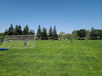 Soccer Field image 1