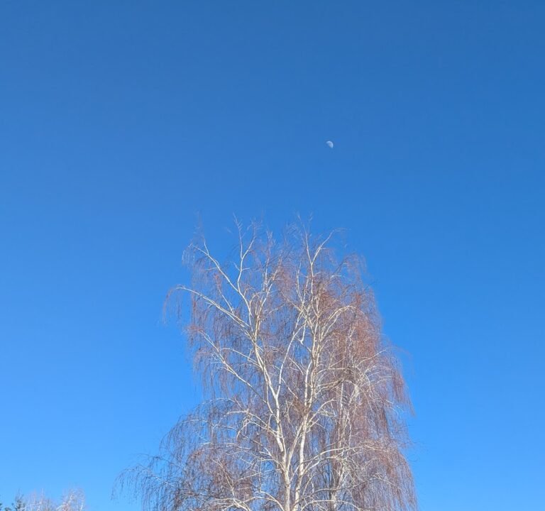 Soccer Field image 3