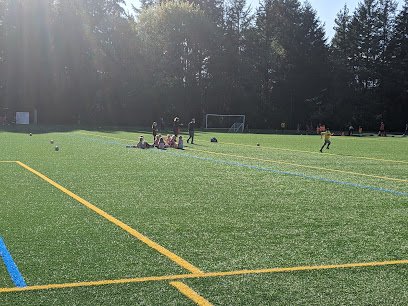 Soccer Field image 1