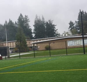 Soccer Field image 2